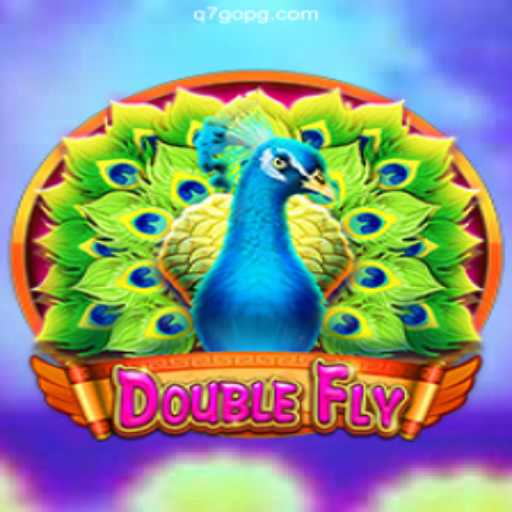 Exploring DoubleFly: A Thrilling Dive into Brazilian Online Gaming
