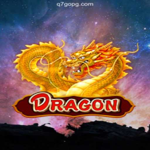 Discover the Exciting World of Dragon